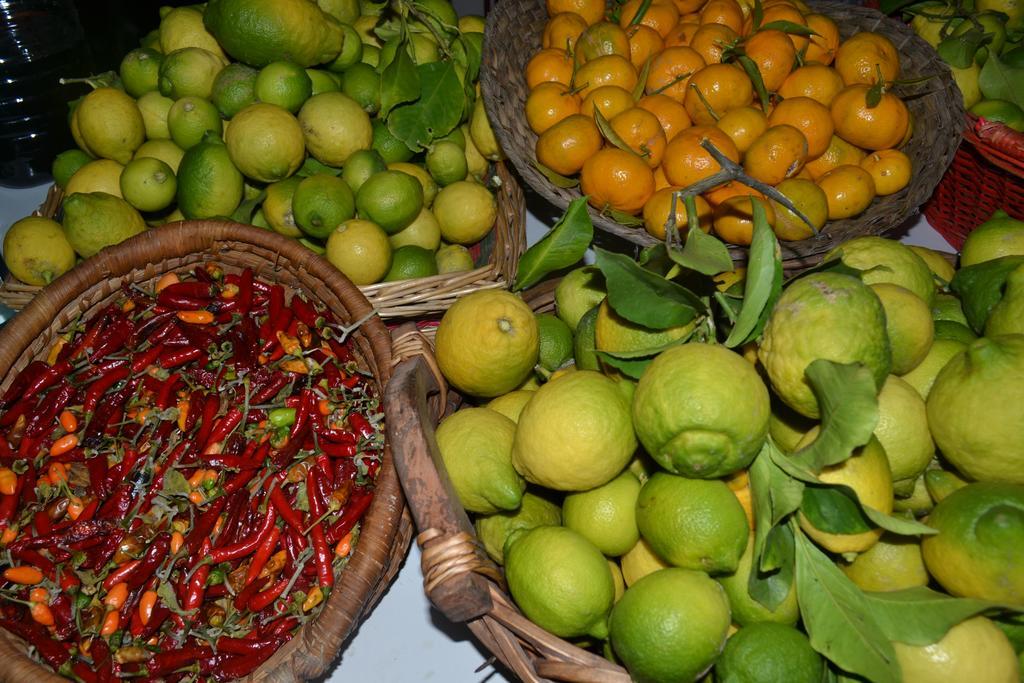 Agriturismo Malena Amica Ngoại thất bức ảnh